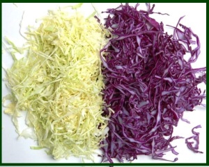 green and red cabbage slaw