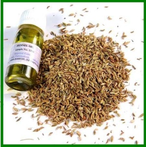 fennel-seed-oil-763174