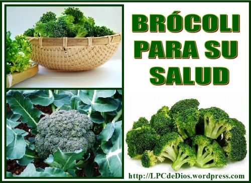 Broccoli LPCdeDios