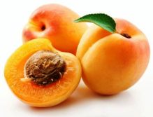 apricot 6a